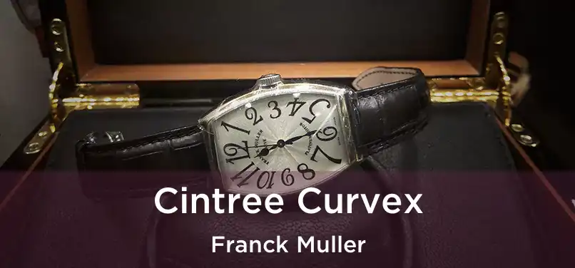  Cintree Curvex Franck Muller